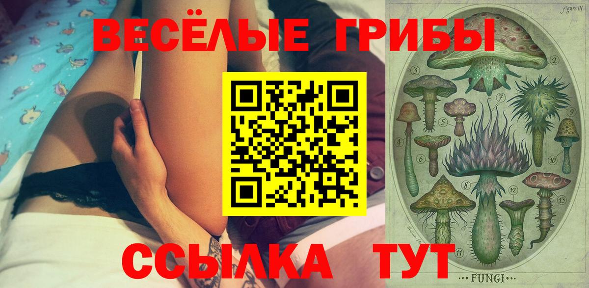 Псилоцибиновые грибы GOLDEN TEACHER Будённовск